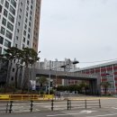 카카오대연공인중개사사무소 | 대연자이아파트 공인중개사 상담 후기