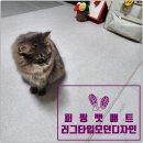 퍼핑 펫매트 러그타입 모던디자인 언박싱 후기 고양이관절 지켜줄 미끄럼방지매트