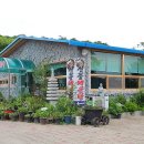 신풍매운탕 이미지