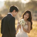 영포토 이미지