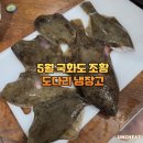 국화도 | 5월 11물 국화도 좌대 낚시 조황 후기/ 장고항 출발 (수도권 도다리)