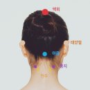 태후사랑 피부사랑 이미지