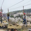 오금 저리는 공중위 꽃구경…신상 한국관광 100선 이미지