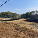 흑염소농장 이미지