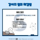 위례S동물의료센터 | 강아지 멀미 해결법 [위례/북위례/감일지구/거여동/하남/마천동 동물병원 위례s동물의료센터]