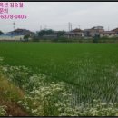 신송1리마을회관 이미지