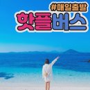 알찬하루 | 우도 뚜벅이 제주도 버스투어로 편하고 알찬 하루 보내기! 일일 패키지 완벽 후기