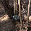 정현슈퍼 이미지