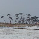 부안사슴농장 네이버블로그