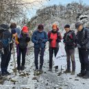 숲 안으로 : 금북정맥 4구간 황골고개~차령고개(25km, 7시간대) 이미지