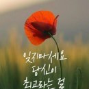 경원20살생일-동묘-신당시장 이미지