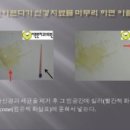 당감치과의원 이미지