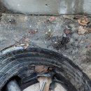 수원-0476 이미지