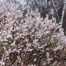 나무와돌펜션 이미지