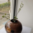 이원농약사 이미지