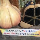 단양농협주유소 이미지