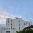 경치좋은 느낌표 & 쉼표 | [오키나와 호텔] 힐튼 오키나와 세소코 리조트 이그제큐티브 라운지 이용후기