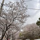 윤산푸드