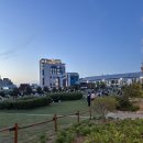 세븐일레븐 광주하남용아점 | [광주 동구] 아시아문화전당 하늘마당 5월 1~5일 임시 개방 피크닉 후기
