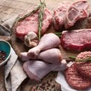 고기사라 이미지