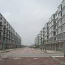 신흥민박 이미지