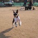 개린이 집합소 이미지