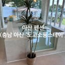 도고소풍스테이 이미지