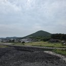 플랜디씨