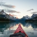 반값애견 이미지