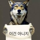 자인교종합카랜드 | 25년도산 서툰사랑의증거