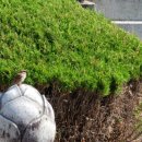 마리공원 이미지