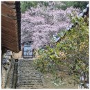 향교로 3 이미지