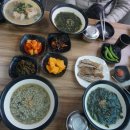 노루채 티스토리