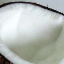코코넛유통