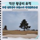 선화참사랑약국 | 익산 왕궁리유적 왕궁리 오층석탑 무왕 선화공주 로맨스 후기