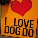 아이러브독도 이미지