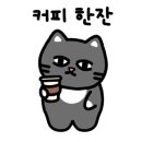카페마들렌느