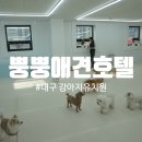 뿡뿡애견호텔 이미지