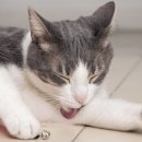 웜메디컬 이미지