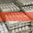 양구동물복지농장(주) | 코스트코 미국산 계란 내돈내산 솔직후기｜국산보다 저렴한 이유와 맛 비교