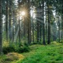 보상행정사사무소 이미지