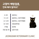 동물사랑병원 이미지