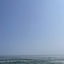 뚜벅이