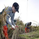 제31사단 503여단 이미지