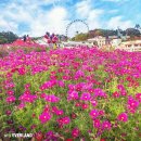 해피데이 이미지