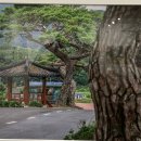 고목다방 이미지
