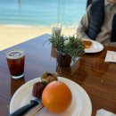 이마트24 이천해피트리점 | 웨스틴조선부산 까멜리아 조식, 클럽라운지(데이타임, 해피아워), 수영장, 사우나, 헬스장