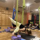 휘트니스 365 이미지