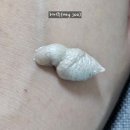 (주)클리어존 | 당김없이촉촉 한 딥클렌징! 코스무라 리아클리어 9.0 폼 후기