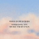 심플즈 네이버블로그